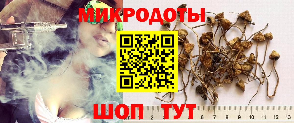 Псилоцибиновые грибы GOLDEN TEACHER  Вход с VPN  где найти   Старый Оскол 